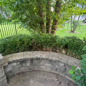 Bush Trimming by Advanced green services reviewed on July 15, 2026