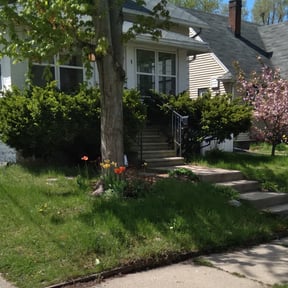 Bush Trimming by Elite Lawn Care reviewed on August 15, 2025