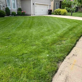 yard care by Toms lawn care reviewed on August 20, 2025
