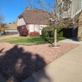 Leaf Removal by Armstrong&#039;s Lawn Care Plus reviewed on November 10, 2025