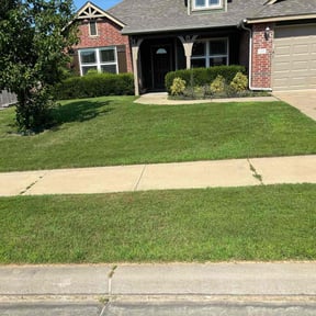 lawn maintenance by Pro Journey Lawn Services reviewed on May 4, 2025