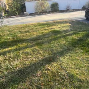Leaf Removal by Walker lawn care reviewed on September 13, 2026