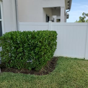 Bush Trimming by Caesar’s Premier Landscaping reviewed on August 15, 2025