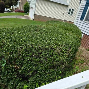 Bush Trimming by JG Lawn Care reviewed on October 24, 2025