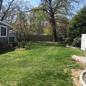 yard service by Nates Lawn Service reviewed on May 15, 2024