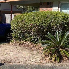 Bush Trimming by Jm landscape reviewed on May 25, 2024