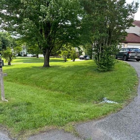 gardening service by Tonys Landscaping LLC reviewed on April 10, 2024