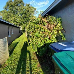 Bush Trimming by Beauty of Nature lawncare reviewed on November 25, 2025