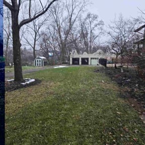 Leaf Removal by Green Thumb lawncare reviewed on December 13, 2025