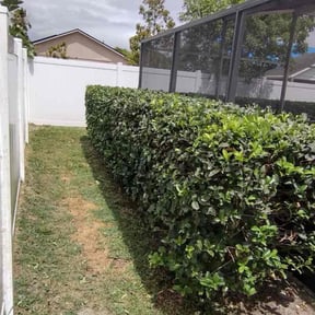 Bush Trimming by J & J Landscaping reviewed on August 14, 2025