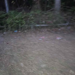 Leaf Removal by Imb Lawn Care reviewed on November 18, 2025