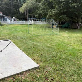 turf care by Michael McDaniel reviewed on June 8, 2022