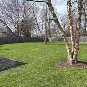 Leaf Removal by Four Level LLC -678.688.LAWN reviewed on August 20, 2025