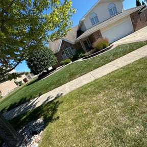 yard work by Little service's LLC reviewed on August 15, 2025