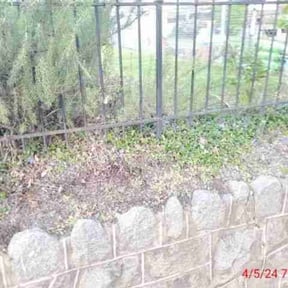 Leaf Removal by Maturino&#039;s Landscape Maintenance reviewed on September 7, 2025