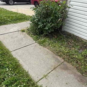 Bush Trimming by JT Lawn Care reviewed on June 3, 2026