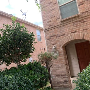 Bush Trimming by Sliced Lawn Care LLC reviewed on May 28, 2023