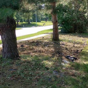 Flower Bed Weeding by Toro Verde Lawns reviewed on August 16, 2025