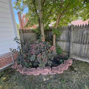 Bush Trimming by Aaron's Landscaping reviewed on November 20, 2025