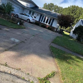 Bush Trimming by Lawnsmith reviewed on November 8, 2025