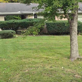Bush Trimming by Small Town Lawn Care reviewed on October 24, 2025