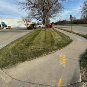 turf maintenance by UnlimitedGroundCare. reviewed on August 17, 2025