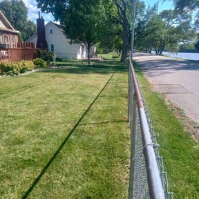 landscaping services by Happy plantsman reviewed on November 23, 2025