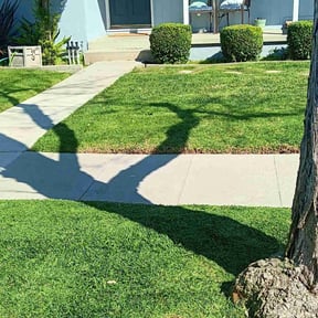 yard maintenance by Forever Green FG LLC reviewed on August 15, 2025