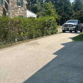 Bush Trimming by Snap Green Landscapers LLC reviewed on July 27, 2026