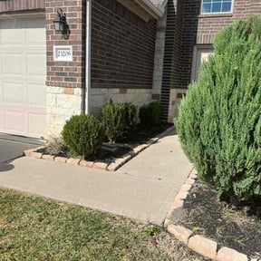 Bush Trimming by Sons bros and I lawn service reviewed on November 23, 2025