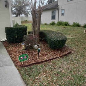 Bush Trimming by GreenLand Landscaping LLC reviewed on August 18, 2025