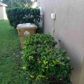 Bush Trimming by Nice Lawns on Wheels reviewed on August 16, 2025