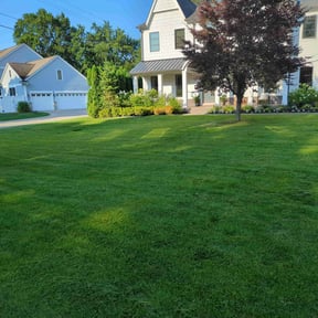 yard work by Swiftcutz reviewed on November 21, 2025