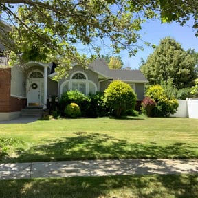 lawn maintenance by The Garden of Your Dreams reviewed on May 9, 2025