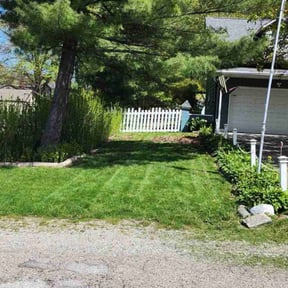 grass maintenance by A&A Landscaping reviewed on March 29, 2024