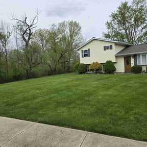 yard maintenance by Hanna Turf reviewed on August 19, 2025