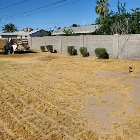 Bush Trimming by Holloway Property Management Edmond reviewed on March 15, 2024