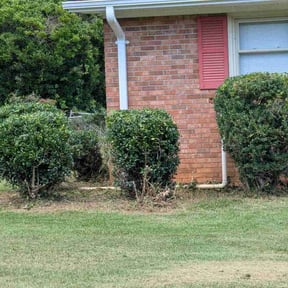 Bush Trimming by Greene Family Lawncare reviewed on August 18, 2025