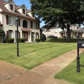 yard service by Mitchell's Lawn Care reviewed on August 15, 2025