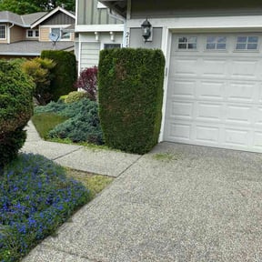 Bush Trimming by Double Ts Construction LLC reviewed on May 22, 2026