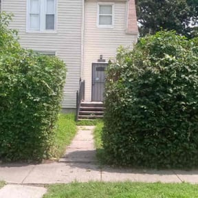 lawn maintenance by Lion&#039;s Heart Lawn Care reviewed on September 19, 2023