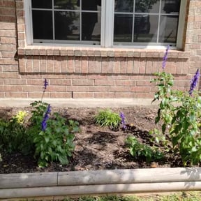 Flower Bed Weeding by Ultimate Landscape Contractor reviewed on August 17, 2025