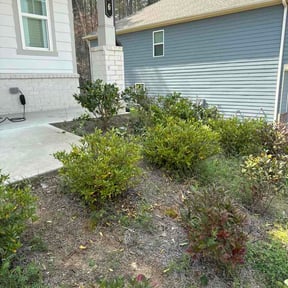 Bush Trimming by Buddy's Mow Blow &amp; Go Lawncare reviewed on March 21, 2026