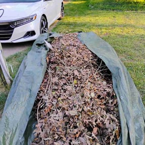 Leaf Removal by Abbott's Lawn &amp; Landscape LLC reviewed on August 14, 2026
