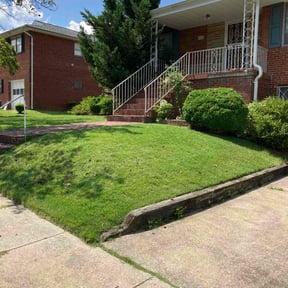 yard maintenance by Hernandez Landscaping reviewed on August 15, 2025