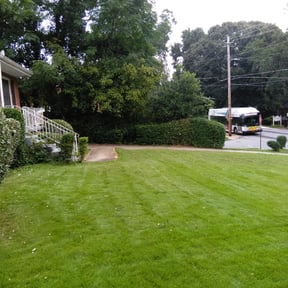 Bush Trimming by Biggs customs reviewed on August 20, 2025