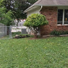 Bush Trimming by Los Hombre Landscaping reviewed on July 2, 2026
