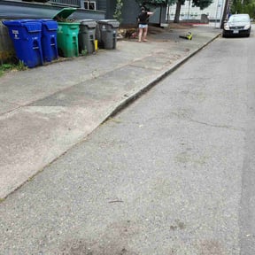Leaf Removal by Hardwood Mulching reviewed on August 19, 2025