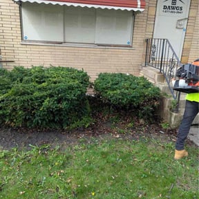Bush Trimming by Happy Nest Cleaning Co lLC reviewed on April 18, 2026