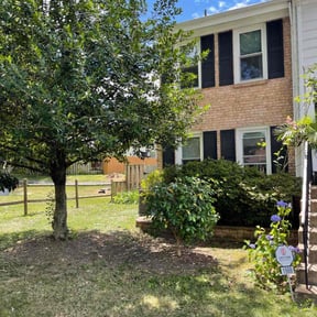 Bush Trimming by ShiftChange LLC Lawn Service reviewed on August 21, 2025